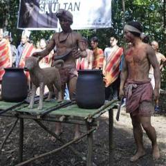 Kum 133 hnuah Dawn l