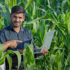 titi ZALEN : Mizoram