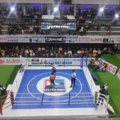 PRO FIGHT: MLA inthl