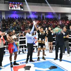 Pro Fight: Title fig