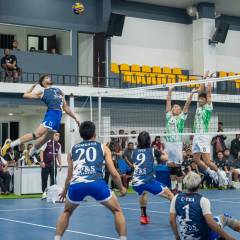 PRO VOLLEYBALL: Tuic